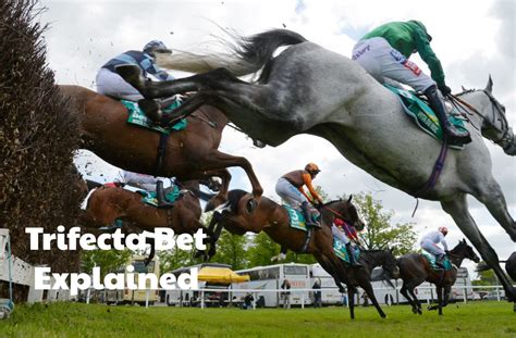 ladbrokes trifecta|Horse Racing Trifecta Betting .